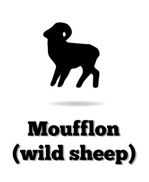 Moufflon (wild sheep) vector icon. Good for logo, print, emblem, badge, label and etc.