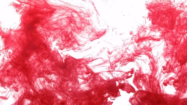 red ink like blood dropped into water, slow motion on white background