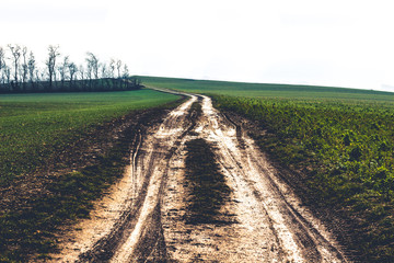 Obraz premium Scenic mudy dirt road in the fields in misty morning light
