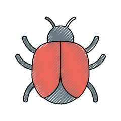 bug icon image