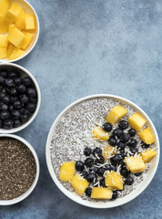 Chia Seed Pudding Top View with Blueberries Mango and Coconut