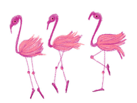 Colorful drawn bright flamingos for greeting card or advertisement on white background, isolated cartoon illustration painted by pencil chalk on white background, high quality