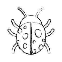 Ladybug icon image