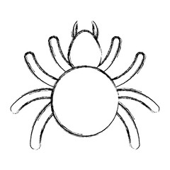 tick insect icon
