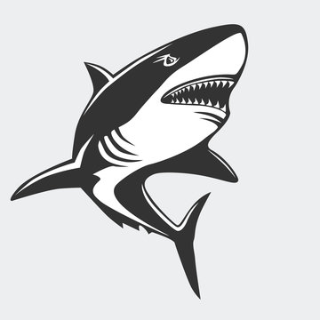 Shark emblem isolated on white