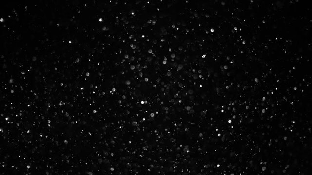 White Microparticles in Flight. Small white particles flow in the air on a black background. Slow Motion