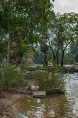 Coorg, India - October 29, 2013: View on Kaveri River across from Dubare Elephant Camp. Diversity of plants and trees along the shore. Gray sky and moving water.