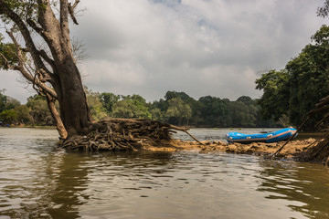 Coorg, India - October 29, 2013: View on Kaveri River across from Dubare Elephant Camp. Blue dinghy left on dirt of islet in the river. Cloudscape and uprooted tree.