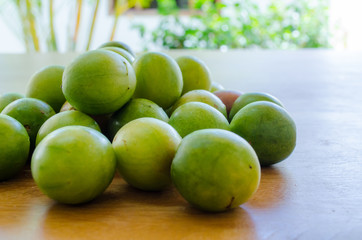 Spondias tuberosa - Brazilian seasonal fruit called Umbu or Imbu. Brazil plum. Regional fruit. Nordeste.