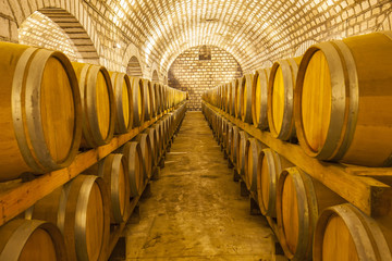  Wine Cellar with Wooden Barrels