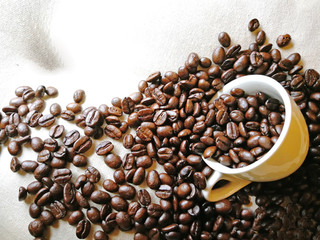 coffee beans seeds 