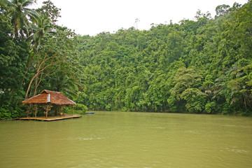 Fototapeta na wymiar Afternoon cruise along the tropical Loboc River in the rainforest, the Philippines