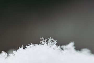 雪の結晶