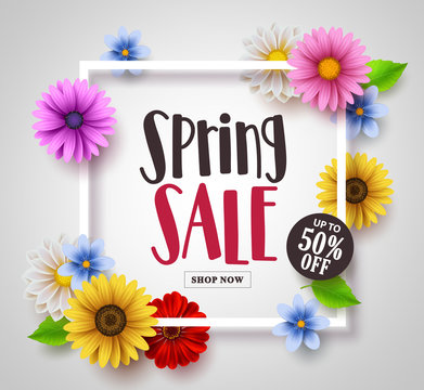 Spring sale vector banner design with colorful daisy, sunflower and floral elements and a frame in white background for spring seasonal discound promotion. Vector illustration.
