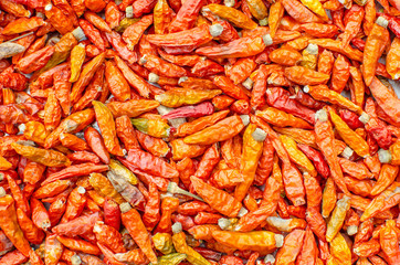 dried chilli backgrounds