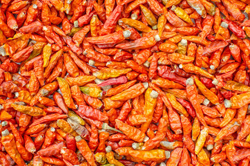 dried chilli backgrounds