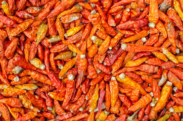 dried chilli backgrounds