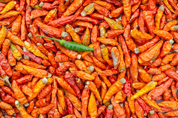 dried chilli backgrounds