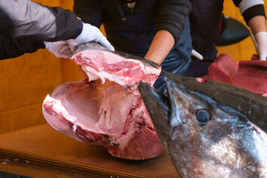 マグロ解体 の画像 346 件の Stock 写真 ベクターおよびビデオ Adobe Stock