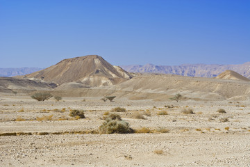 Loneliness and emptiness of the desert