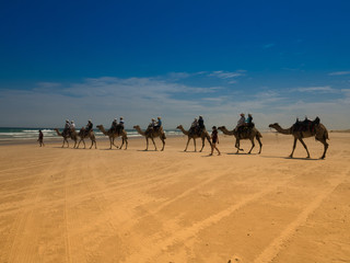 Fototapeta na wymiar Camel riding on the beach