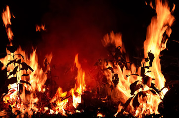 Close up of bonfire in night