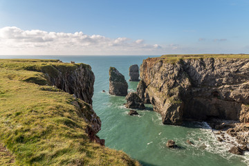 Elegug Stack Rocks near Castlemartin in Pembrokeshire, Wales, UK