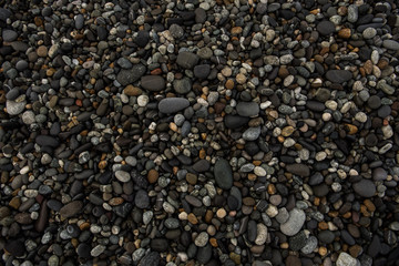 Sea pebble / sea stones background