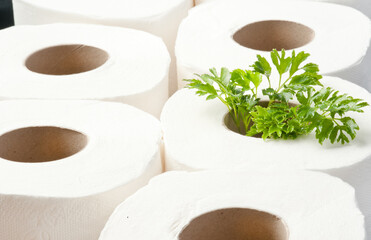 rolls of toilet paper with the plant inside as a seedling tree. Recycling, ecology and conservative concept
