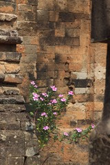 Angkor Wat Cambodia