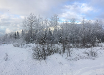 Winter on the Mountain