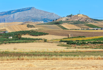 Fototapeta premium Sicily summer agriculture countryside, Italy