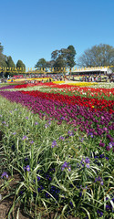 Floriade