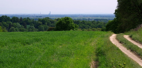 Widok Wrocławia - dużego miasta z wiejskiej, polnej drogi