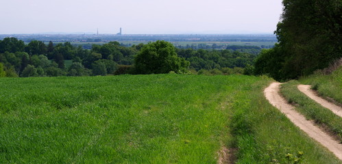 Widok Wrocławia - dużego miasta z wiejskiej, polnej drogi - obrazy, fototapety, plakaty