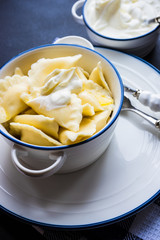 Ukrainian cuisine dish