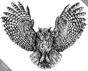black and white engrave isolated owl vector illustration
