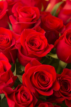  bouquet of fresh red roses