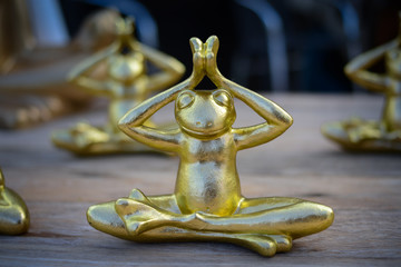 golden frog yoga