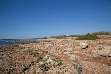 Sentiero, Riserva naturale orientata Oasi faunistica di Vendicari, primavera 