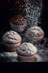 Falling powdered sugar on brown chocolate muffin