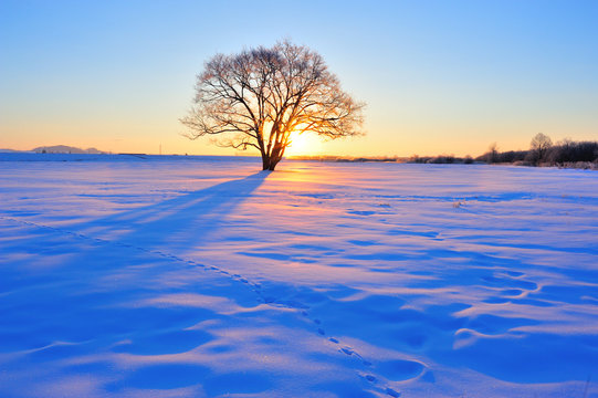 雪景色images Browse 843 Stock Photos Vectors And Video Adobe Stock