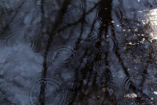 Rain drop cirkles on dark water surface background