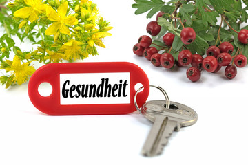 Schlüssel zur Gesundheit, Heilpflanzen, Collage