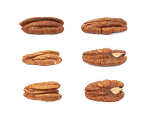 Single pecan nut isolated