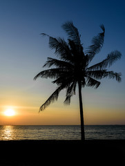 Fototapeta na wymiar Coconut tree silhouette on the beach with sunset sky