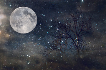 Fototapeta na wymiar Surreal fantasy concept - lonely tree with bare branches and full moon with stars glitter in night skies background. Vintage style filtered image.