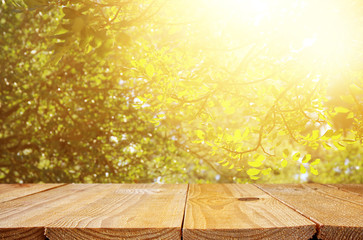 Empty table in front of blurry forest background. Ready for product display montage.