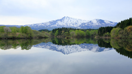 新緑の大潟溜池と鳥海山（16：9）　Fresh green Ogata pond and Mt.Chokai