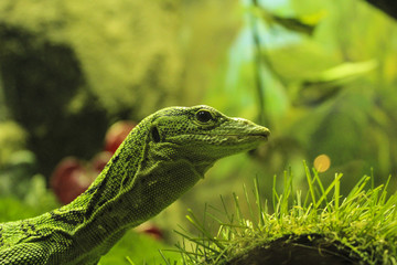 Naklejka premium Санкт-Петербург